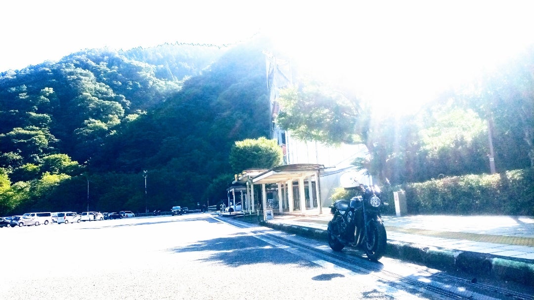 巨峰 ぶどう 2房 約1kg種無し 山梨県産港ダイニングしおそうの通販・お取り寄せなら ぐるすぐり