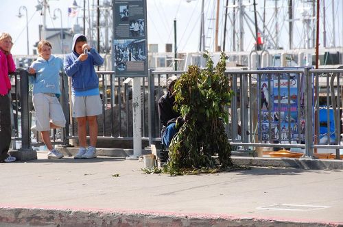ノースビーチ、イタリアンレストラン街サンフランシスコ在住ミックさんのおすすめエリア・地区ロコタビ
