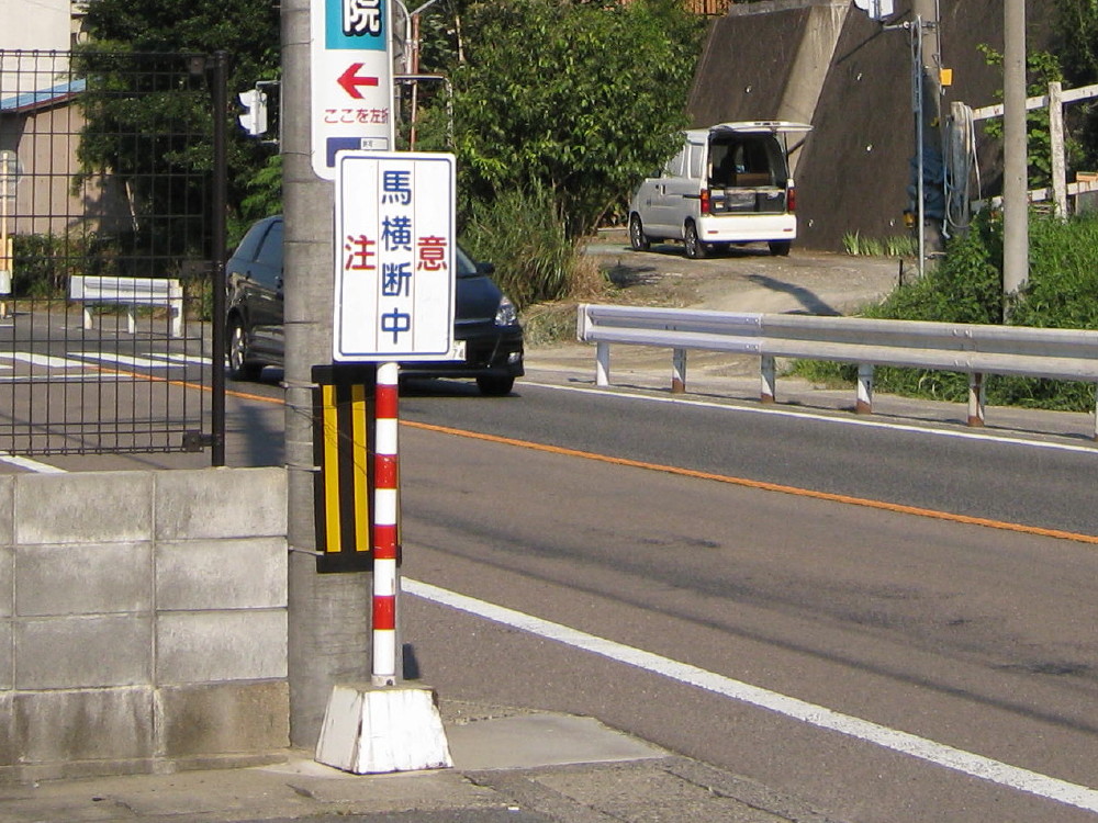 馬横断注意の写真素材 - PIXTA