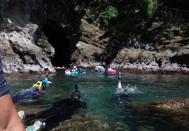 伊豆のシュノーケリング子連れ・初心者も楽しいスポット２５選NPO パパラギ“海と自然の教室”