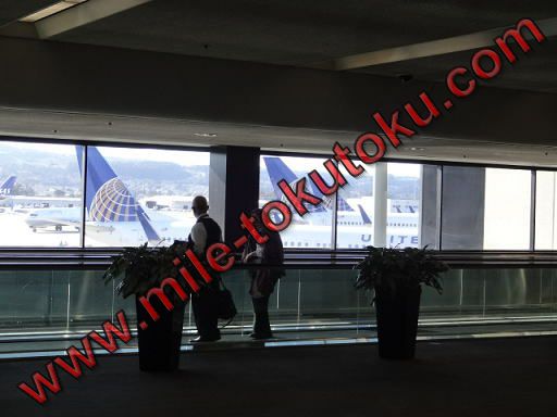 サンフランシスコ国際空港 SFO 案内 2025年8月サンフランシスコ観光お役立ち情報シスコツアーズ サンフランシスコ・ヨセミテ