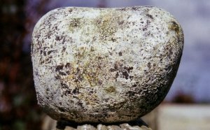 楽天市場 龍涎香 りゅうぜんこう の通販