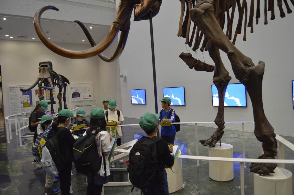 爺さんぽ - YouTube