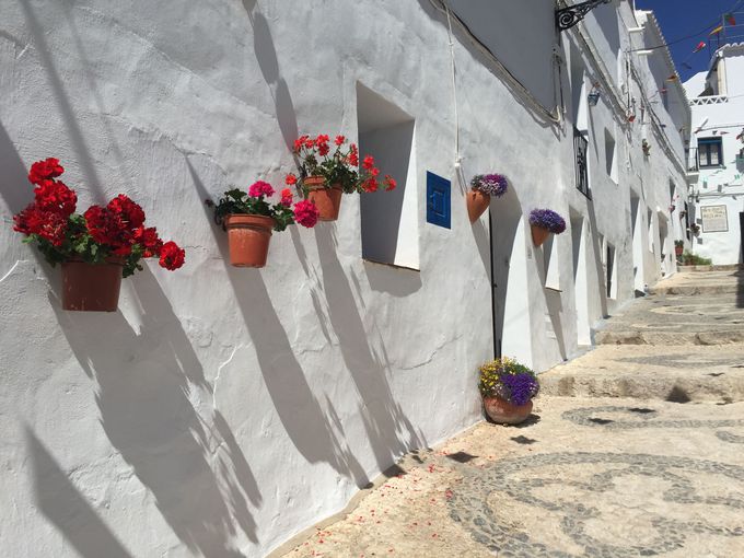 スペインの白い村「ミハス」行き方・お土産事情を徹底解説！トラベルスタンダードジャパン