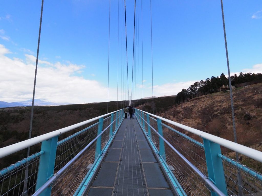 日本の個性豊かな吊り橋18選！ 絶景を楽しむ？ 怖さに挑戦？たびこふれ