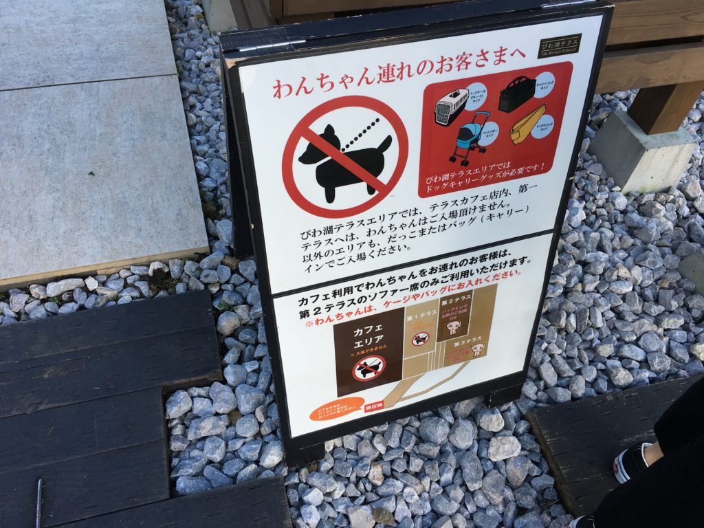 犬１匹と１人旅 びわ湖バレイ : たかシェフのおうちごはん。と、白い犬。と、チワワ。 Powered by ライブドアブログ