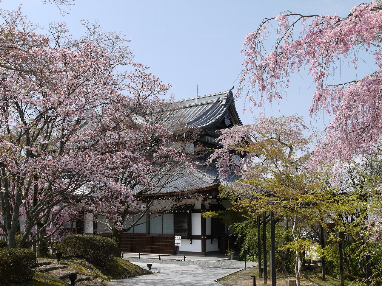 2020年☆初京都は原点となる場『将軍塚青龍殿』へ』東山・祇園・北白川 京都 の旅行記・ブログ by akikoさん フォートラベル