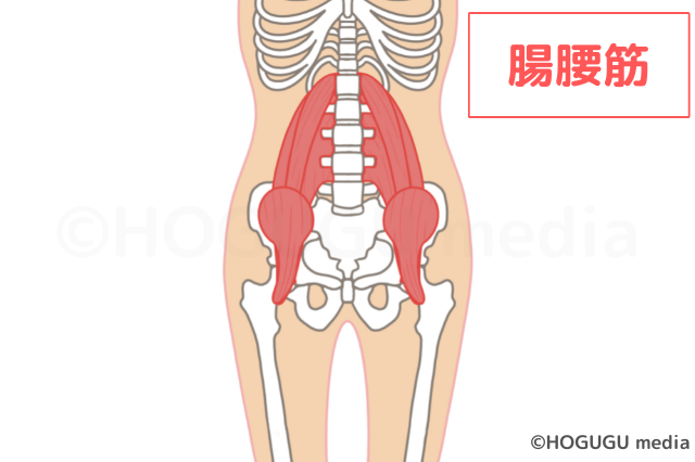 膝の症状（膝の痛み・膝を曲げられない）｜武蔵境駅徒歩２分の「武蔵境みつおか整形外科・リハビリテーション科 」