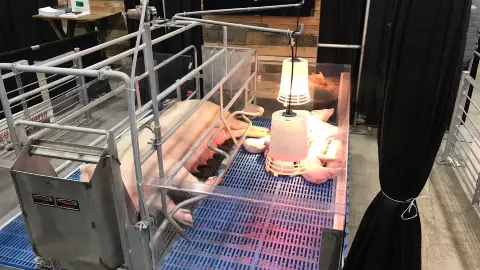 バンクーバーの温泉リゾート！ハリソンホットスプリングスに週末小旅行Canarie