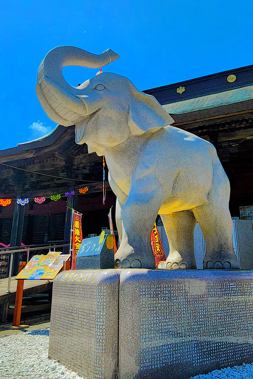 千葉県№１の金運パワースポットの長福寿寺 吉ゾウくん
