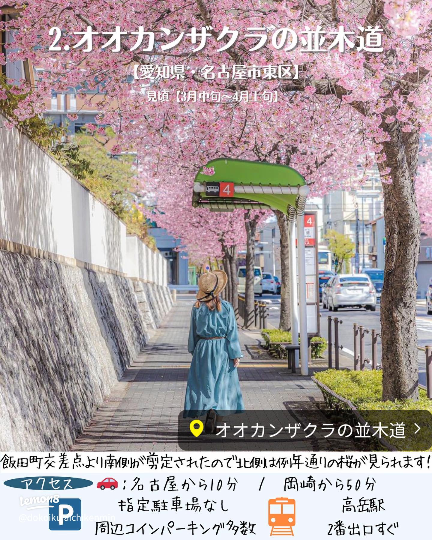 岐阜愛知岐阜三重の店舗の情報発信サイト・店舗ストーリー東海