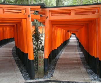 京都三名所1日観光 世界文化遺産 金閣寺 金閣寺 ＆清水寺＆二年坂＆伏見稲荷大社 千本鳥居 京都または大阪から出発Klook