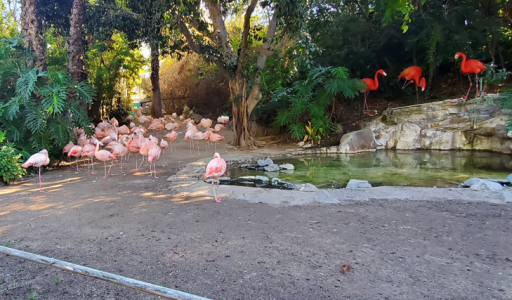 2025年 ロサンゼルス動物園 & 植物園 - 出発前に知っておくべきことすべて - トリップアドバイザ