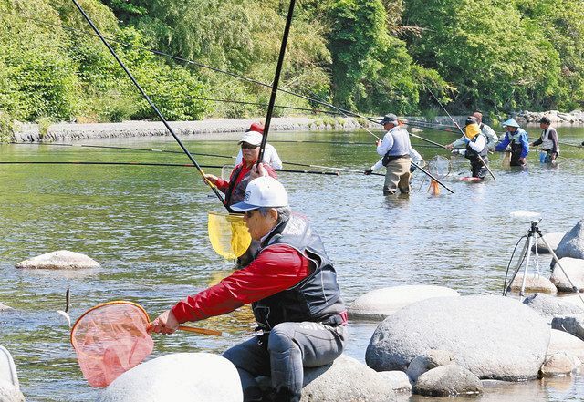 おとな釣り倶楽部 鮎釣りを愛する2人が憧れの清流物部川で良型天然鮎を狙う