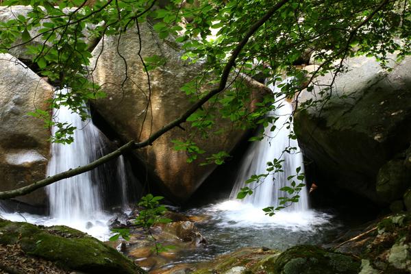 芦川渓谷の紅葉情報 2025- ウェザーニュース