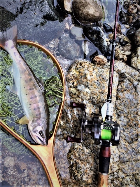 240323 栃木県粕尾川ヤマメ解禁釣行