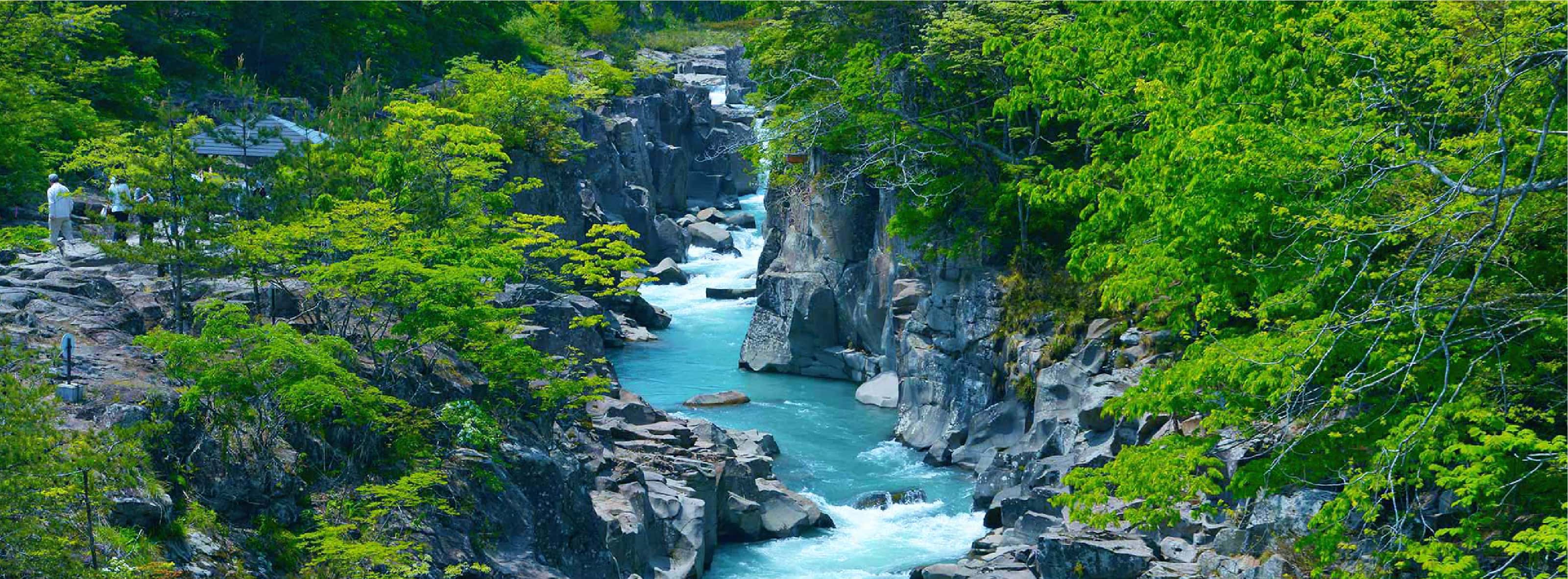 嚴美溪 周邊介紹 南三陸町觀光協會官方網站