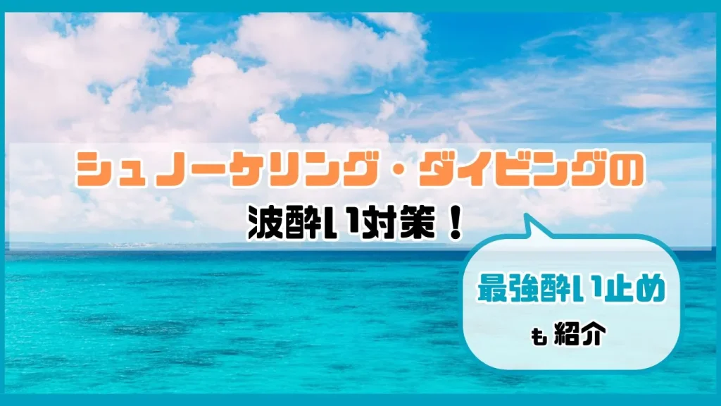 シュノーケリングをするなら絶対知っておきたいインストラクターが徹底解説NPO パパラギ“海と自然の教室”