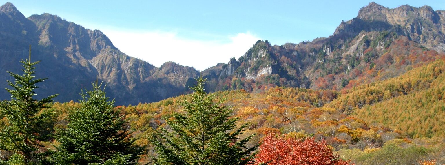 戸隠キャンプ場整理券取得！混雑時レポ。フリーサイト確保！ナコブログ