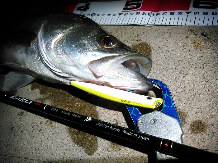 魚の写真を映えさせるならこうッ！！！！！！！！フィッシング遊