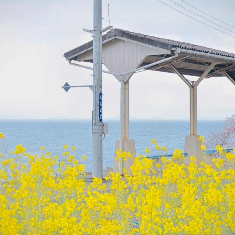 海の見える駅 下灘駅の鉄道旅行ガイドShimonada Station, Travel Japan Guide