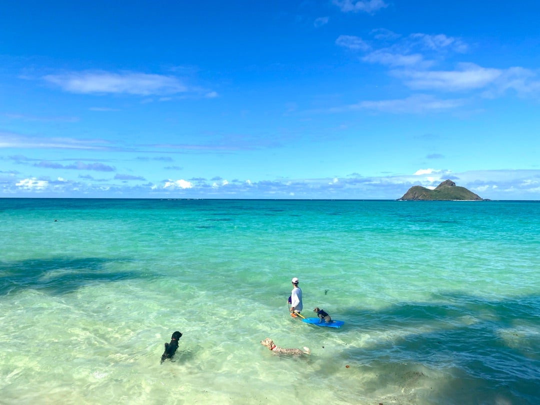 今季大注目のハワイアンアーティスト、ローレン・ロスが日本上陸！ ハワイ州観光局親善大使の石田ニコルと特別対談が実現。ローレンロス・ジャパン株式会社