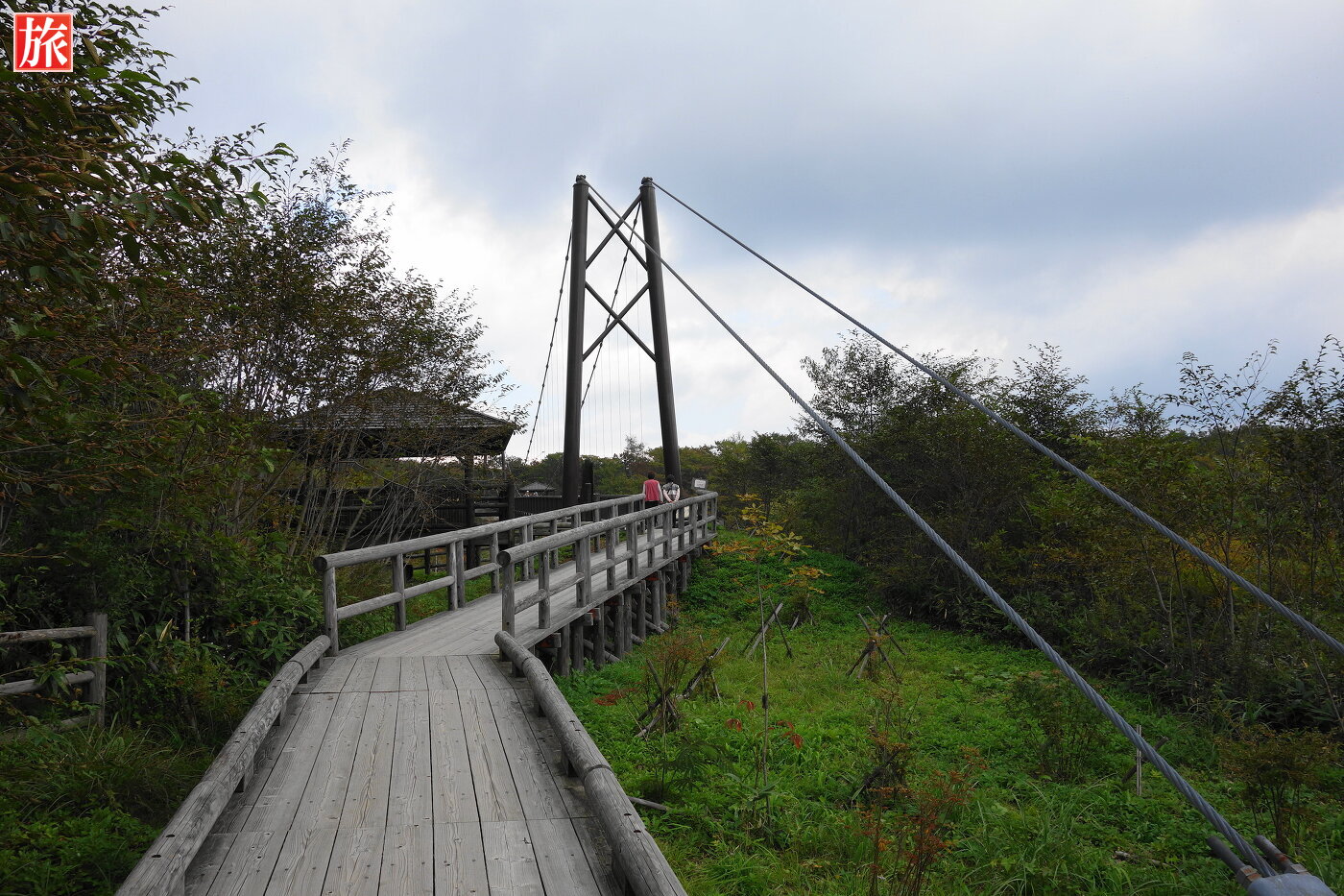 7月の那須 自然研究路で緑を満喫！ 弁天吊橋とつつじ吊橋旅ネコちびた