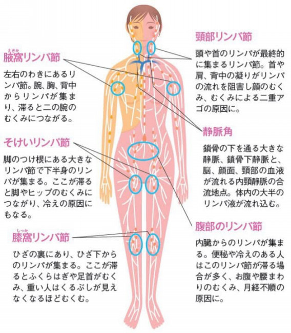 読者5人が2週間で若返った！驚きのリンパケア効果 | ハルメク美と健康