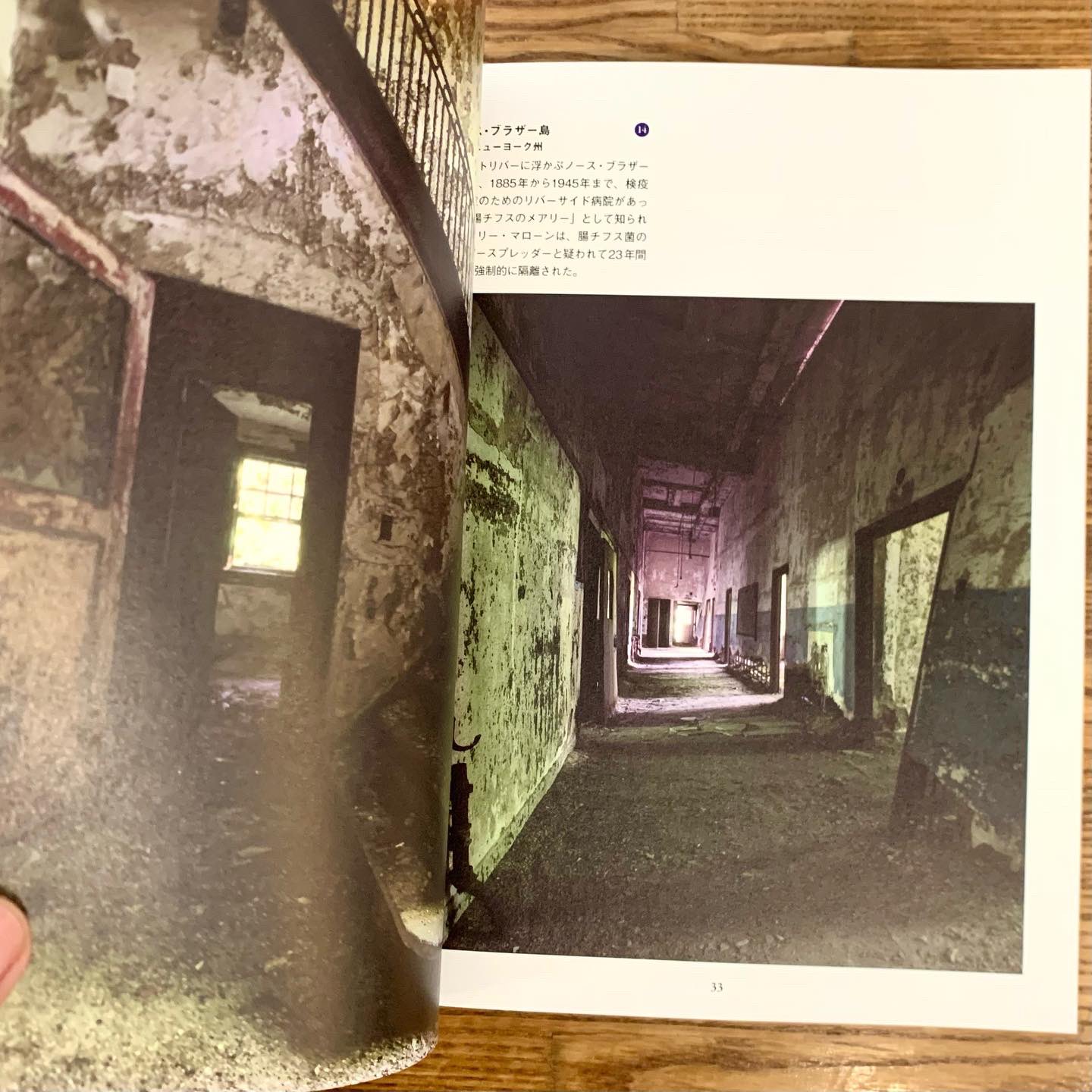 紙芝居:『無症状感染者 チフスのメアリー』 その6 最終回- 住職のつぼやき - お寺の出前！紙芝居屋亭