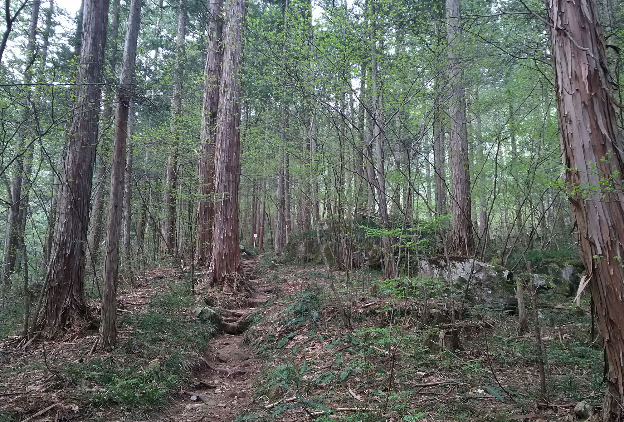 Shower Trekking Family – Early Bird Adventure