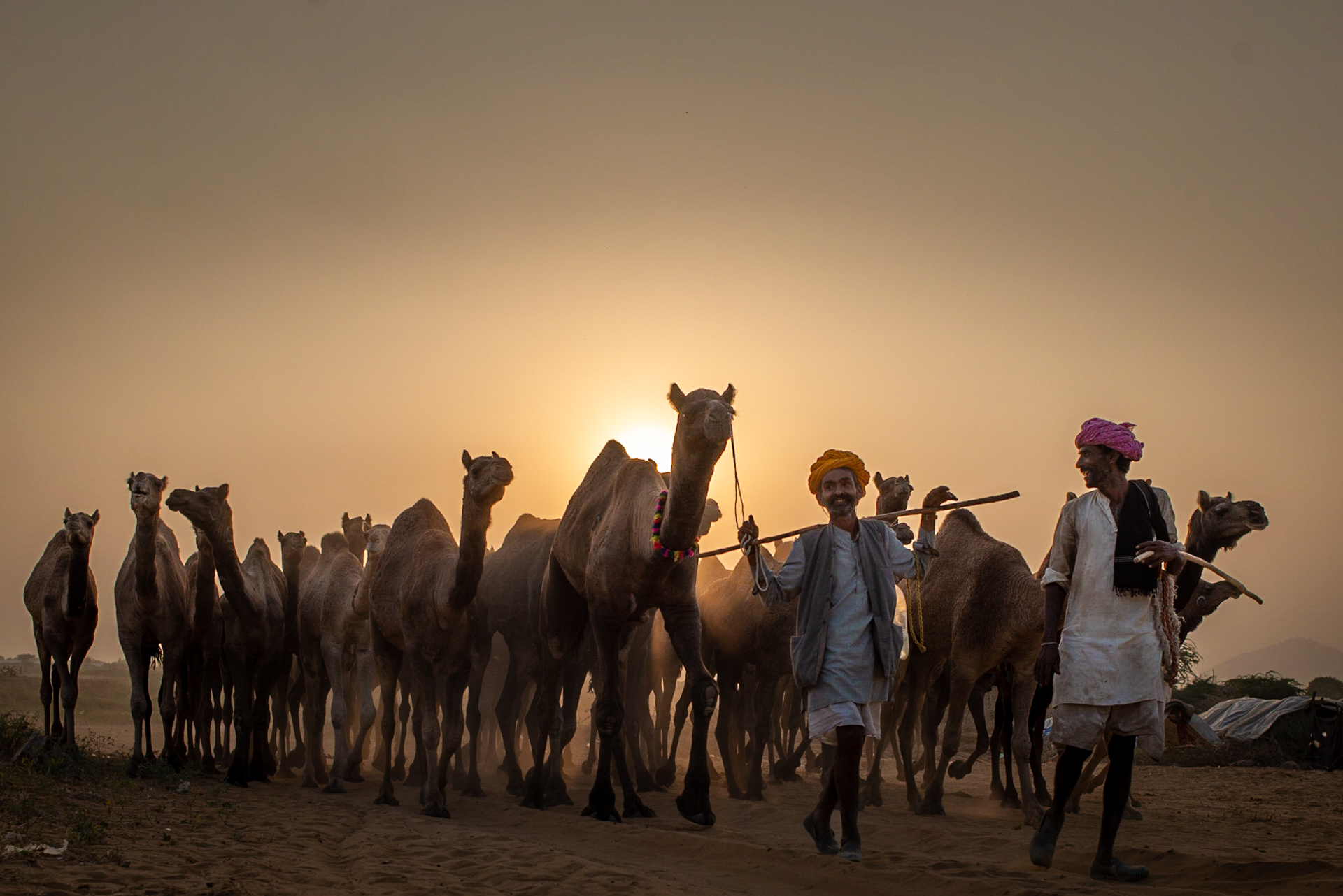 インド駐在記 会社からもらったディワリギフト、3年間の記録とちょっと笑える実話🪔j hama@インド駐在