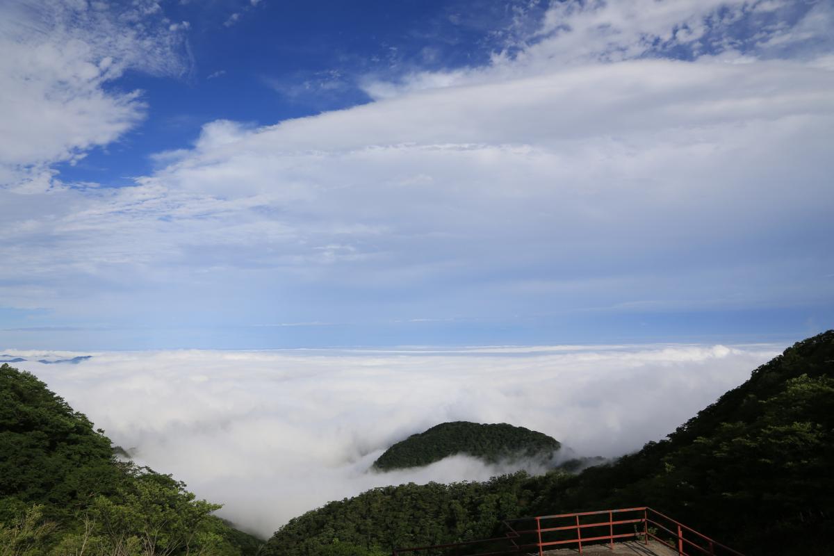 冬の雲海に包まれる旅へ！新潟「赤倉観光ホテル」の絶景スイートで感動の非日常体験楽天トラベル