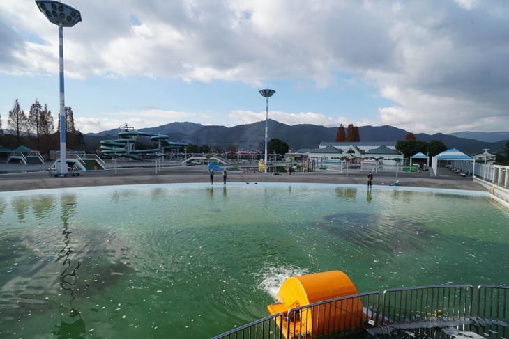 2024年最新版 手軽にマス釣りが楽しめる！兵庫・京都の管理釣り場を一覧で紹介 – ニュースつりそく 釣場速報