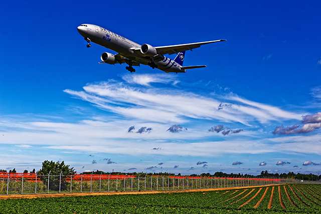 自己流撮影地ガイド 成田国際空港編その5青春の１ページ航空機等撮影記録～since2019 New Edition～
