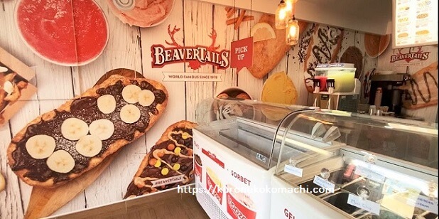 カナダの動物20選！有名なシンボル的存在はムースやビーバー！野鳥も│SEKAIE