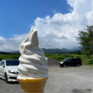 忠ちゃん牧場裾野市で絶品ソフトクリームを堪能駿河部