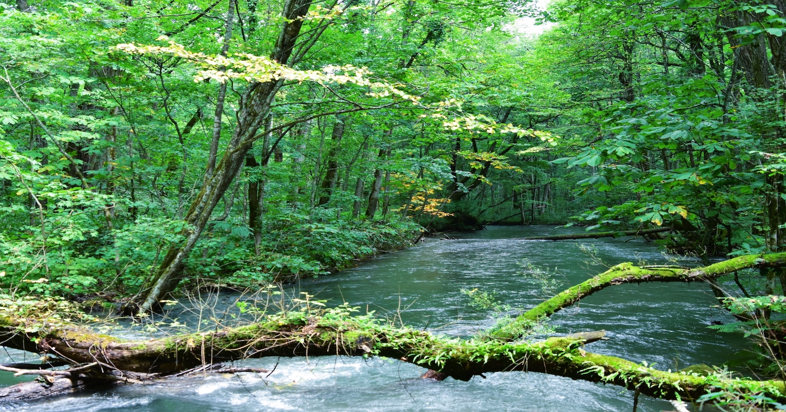 青森県でグランピングやキャンプを楽しみたい！県内でおすすめの施設10選TAKIBI タキビ アウトドア総合情報サイト