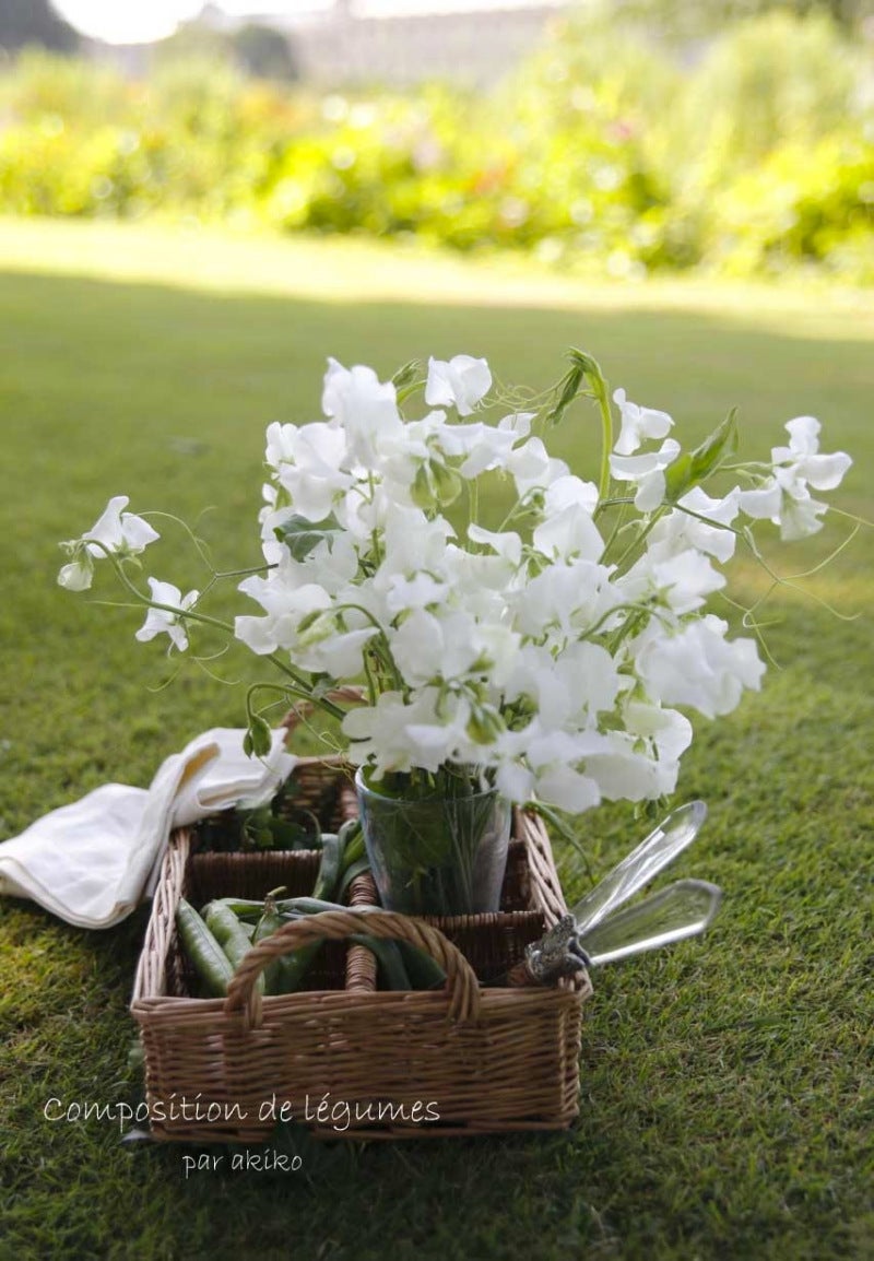 パリの公園:1チュイルリー公園 - エスカルゴの国から