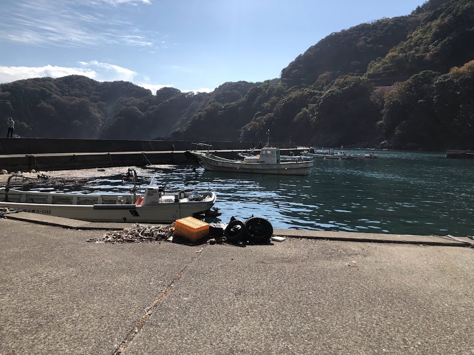 宇久漁港の釣果・釣り場情報 2025年最新- アングラーズ釣果600万件の魚釣り情報サイト
