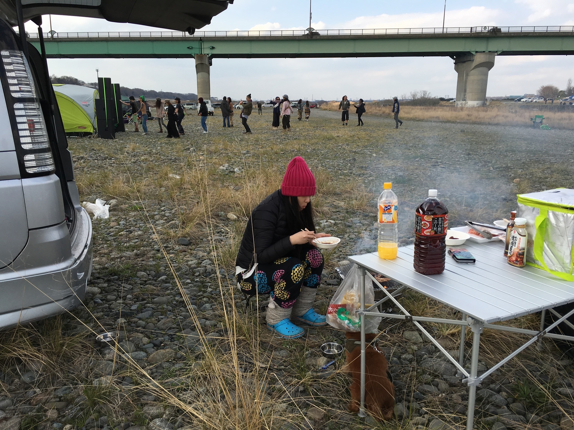 相模川座架依橋４