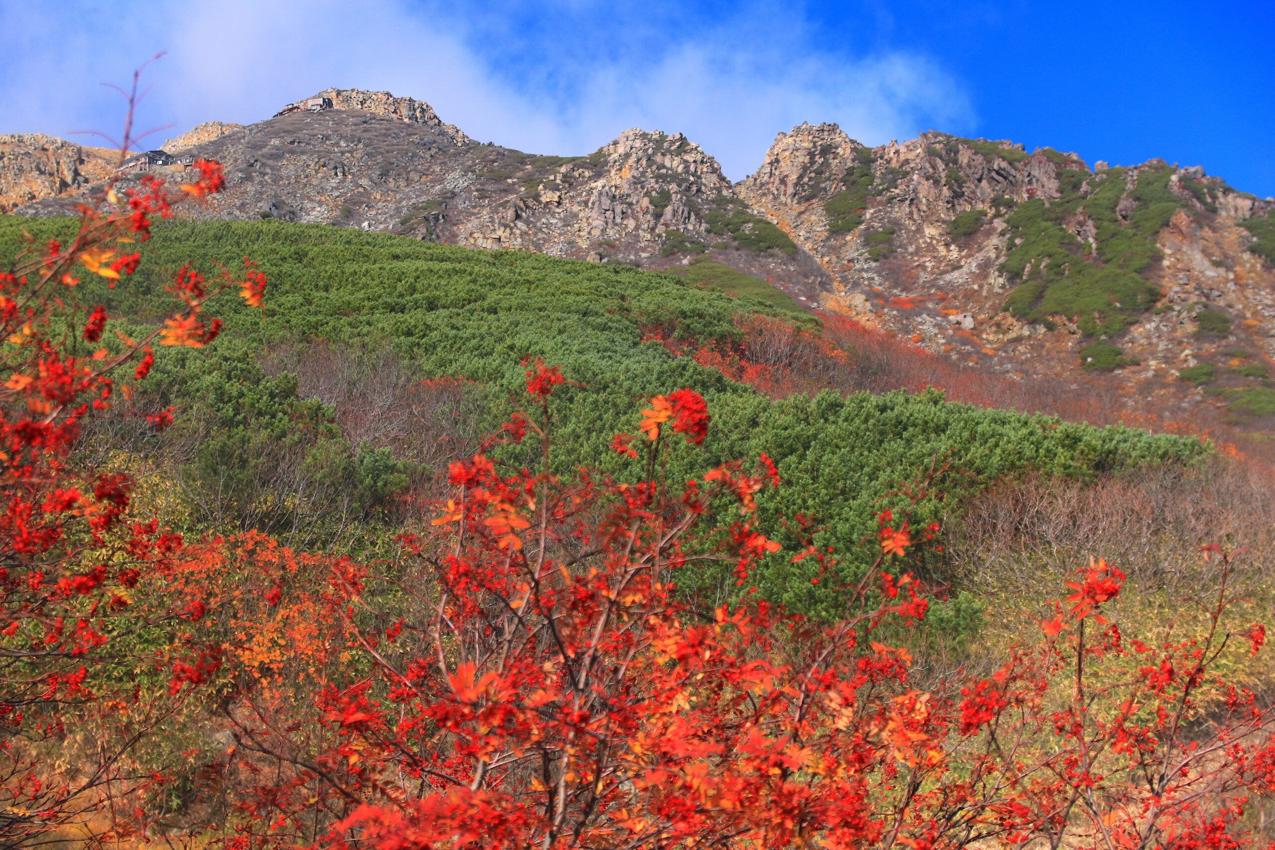 御岳ロープウェイ！御嶽山中腹まで楽々アクセス360@旅行ナビ