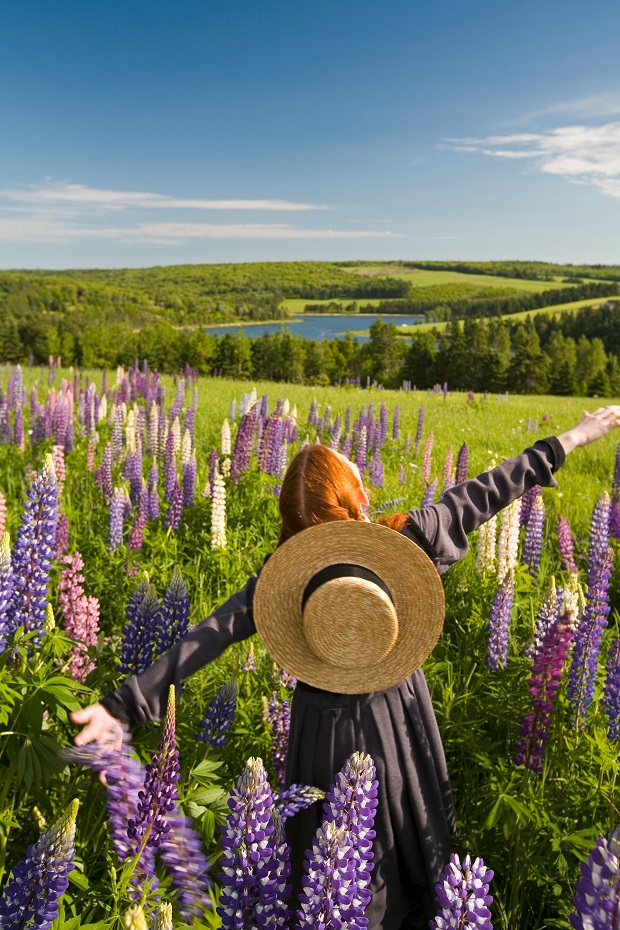 赤毛のアンの舞台』世界で一番美しい島「プリンスエドワード島」H.I.S.オススメ オトナの旅TORJA