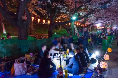 2019年 上野公園・隅田公園 お花見特集！上野・浅草ガイドネット