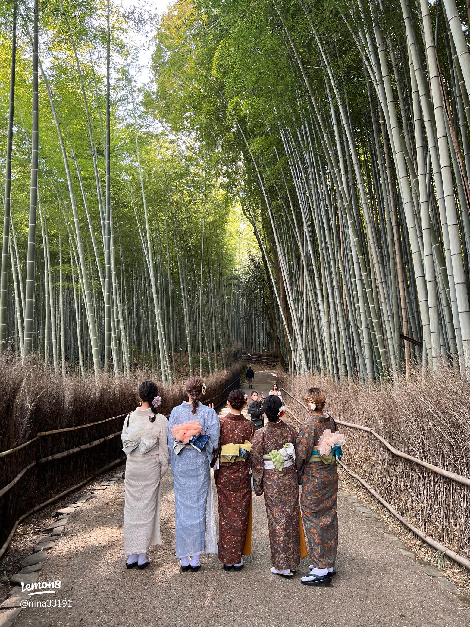 京都 インスタ映えスポット日帰りツアー 嵐山や清水寺界隈へご案内＜京都駅発着 日本語・中国語or英語＞京都の観光&遊び・体験・レジャー専門予約サイト VELTRA ベルトラ