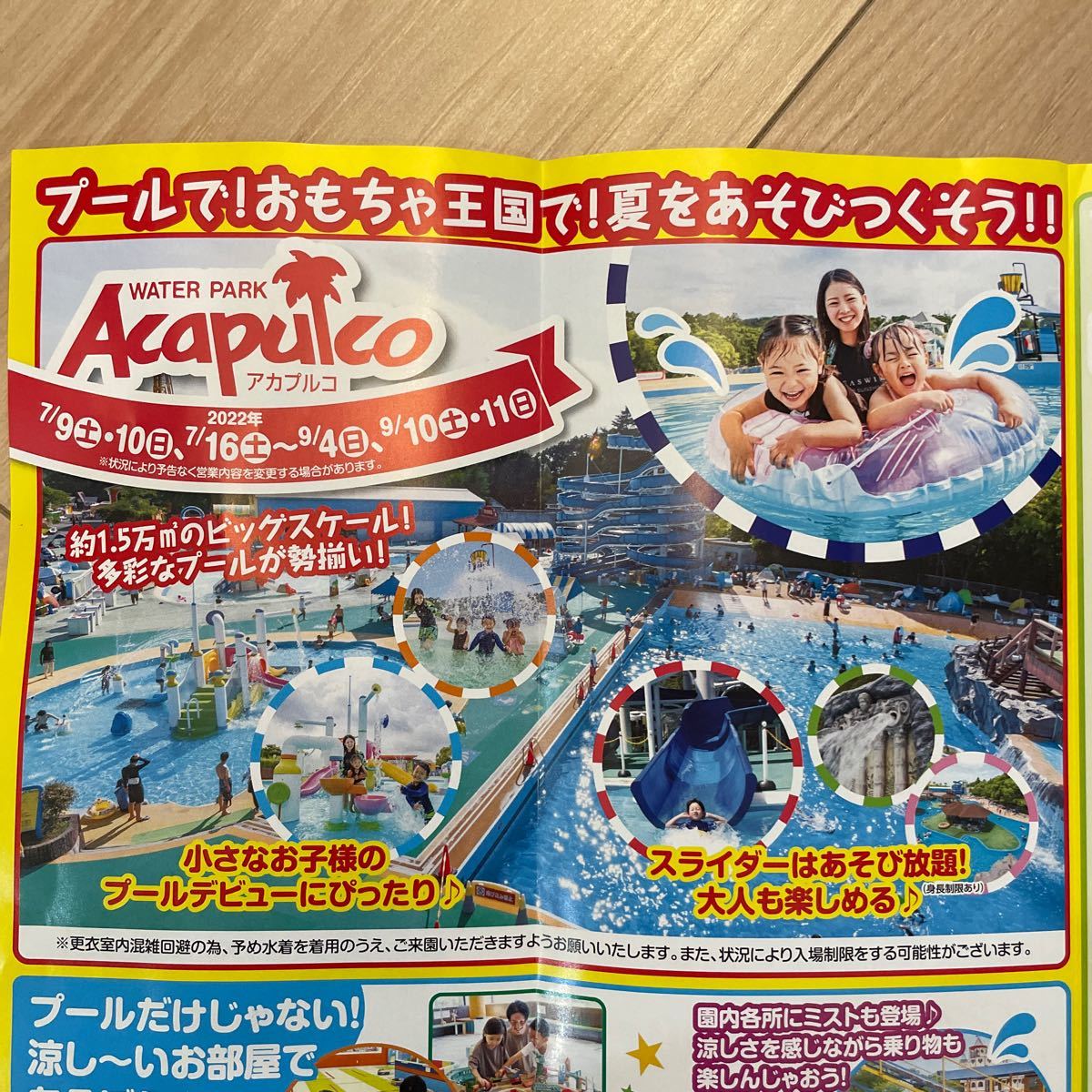 即日発送 東条湖 おもちゃ王国 割引 半額 無料 クーポン - メルカリ