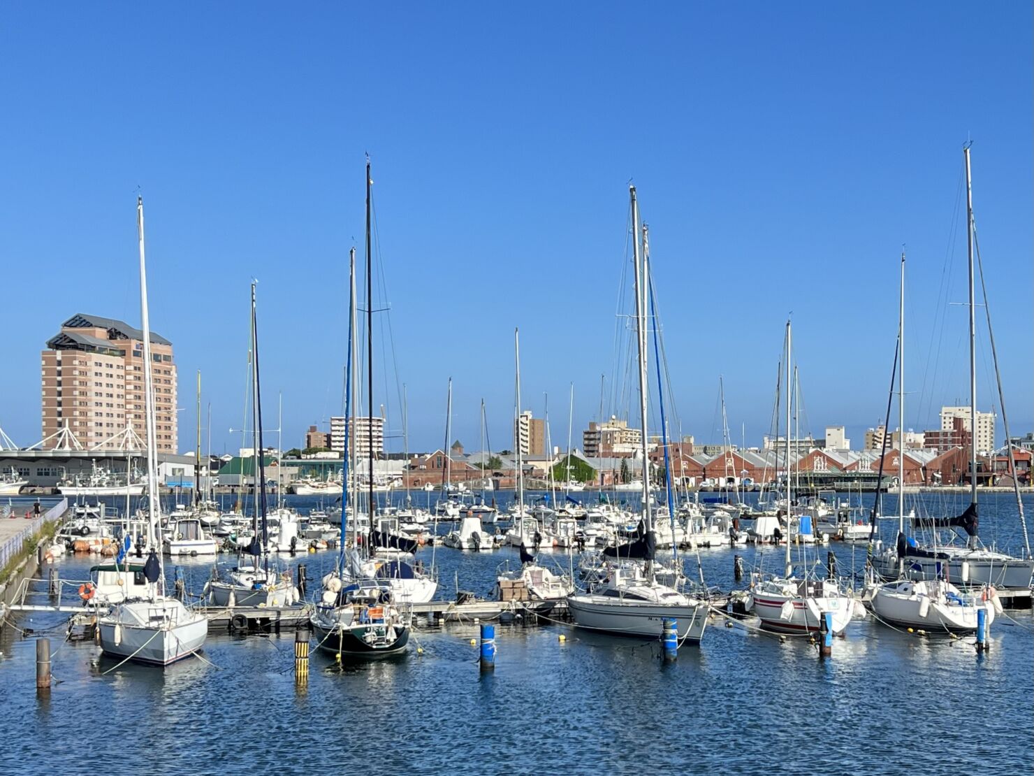 函館公園で遊ぼう！噴水広場・博物館・遊園地など魅力が詰まった都市公園 – skyticket 観光ガイド