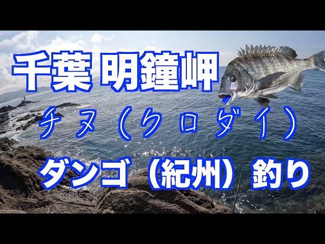 2025年 明鐘岬 - 出発前に知っておくべきことすべて - トリップアドバイザ