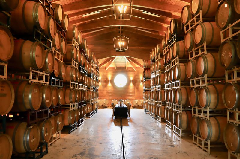 時差ボケが治らないスタパオーナー八ヶ岳日記