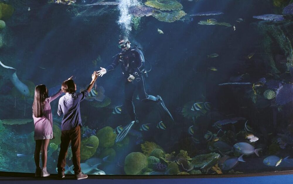 シーライフ バンコク オーシャン ワールド入場チケット マダムタッソー蝋人形館セット可 タイ- KKday