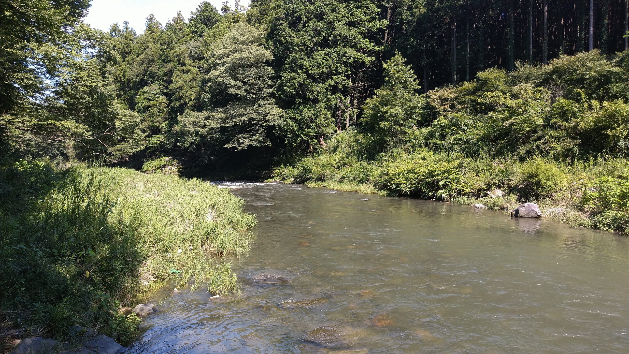 嵐山渓谷ハイキング: 悠友会広場
